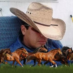 Meet your Posher, Rolando